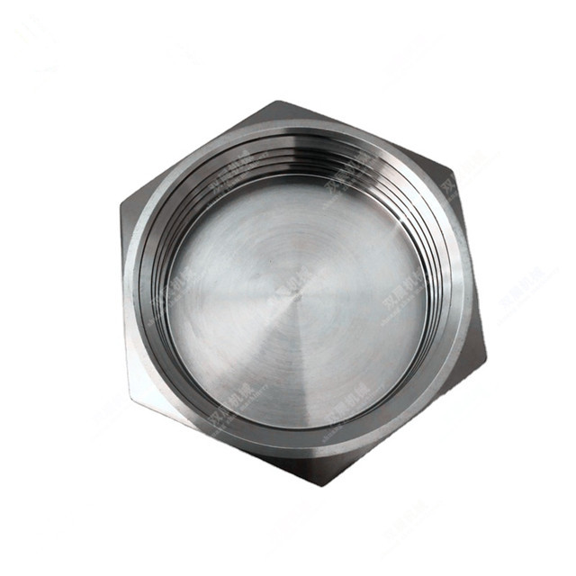 Sanitary Stainless Steel Hexagonal Blank Nuts with Chain