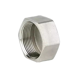 Stainless Steel Hexagon Cap 150LB Threaed Fitting