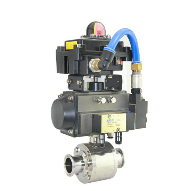 Different types of sanitary pneumatic actuator